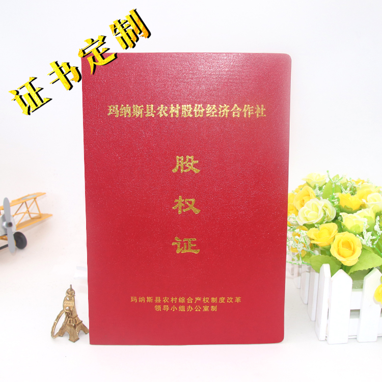 玛纳斯股权证 拷贝.jpg